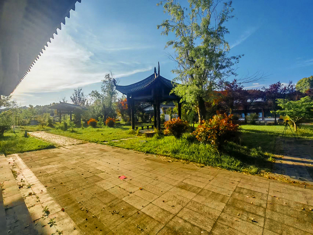 Campus at dawn